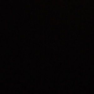 Meet your Posher, Jackson